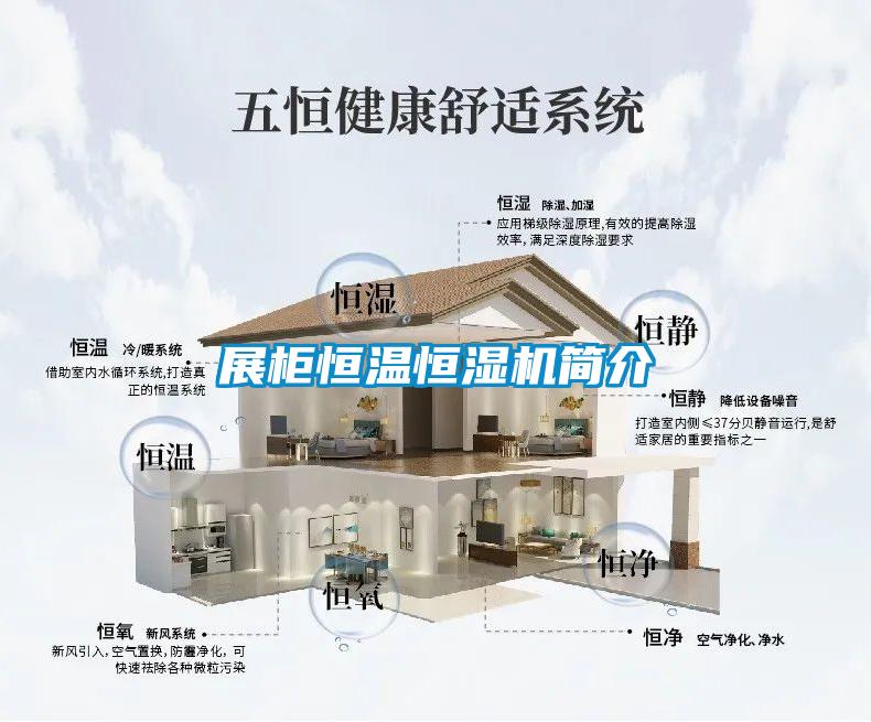 展柜恒溫恒濕機(jī)簡(jiǎn)介