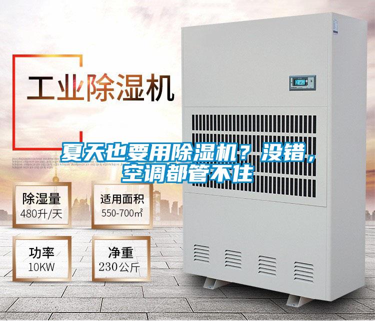 夏天也要用除濕機？沒錯，空調都管不住
