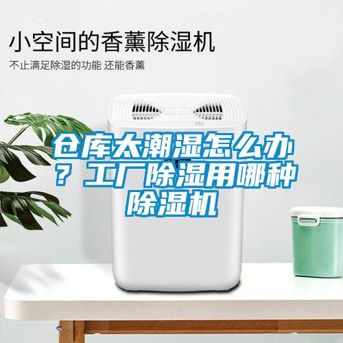 倉庫太潮濕怎么辦？工廠除濕用哪種除濕機