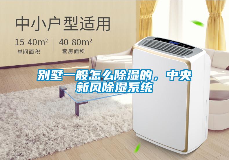 別墅一般怎么除濕的，中央新風除濕系統