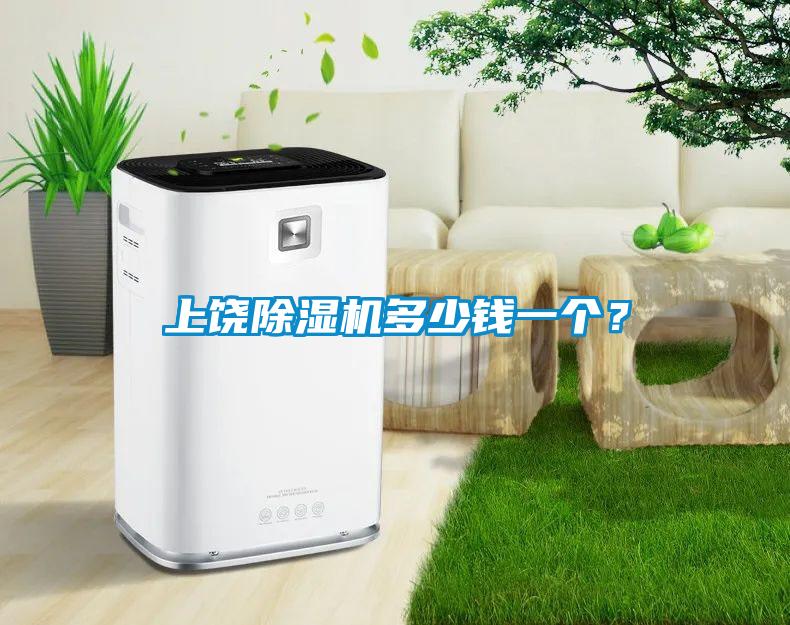 上饒除濕機多少錢一個？