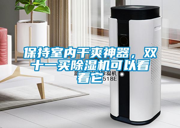 保持室內(nèi)干爽神器，雙十一買除濕機(jī)可以看看它