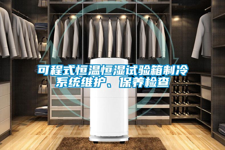 可程式恒溫恒濕試驗(yàn)箱制冷系統(tǒng)維護(hù)、保養(yǎng)檢查