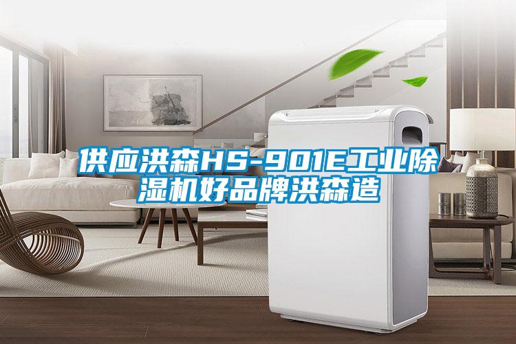 供應洪森HS-901E工業(yè)除濕機好品牌洪森造