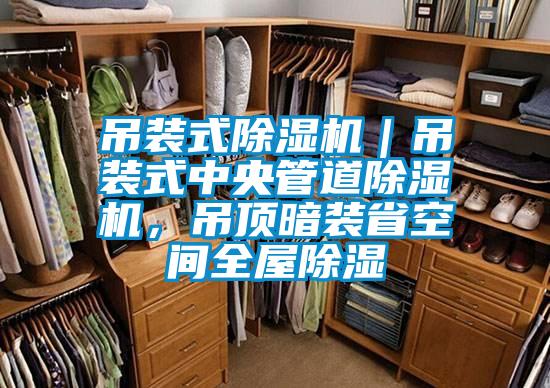 吊裝式除濕機(jī)|吊裝式中央管道除濕機(jī),吊頂暗裝省空間全屋除濕