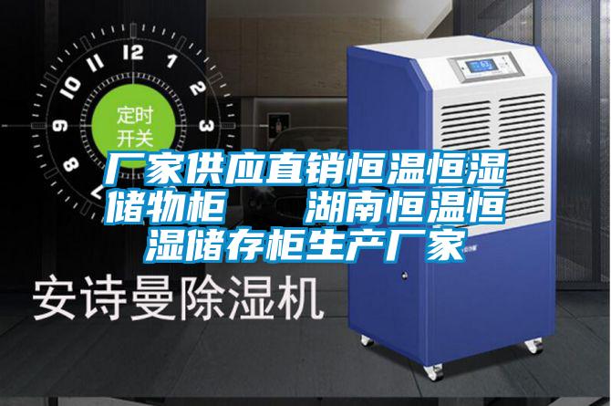 廠家供應直銷恒溫恒濕儲物柜   湖南恒溫恒濕儲存柜生產(chǎn)廠家