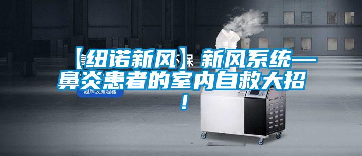 【紐諾新風】新風系統—鼻炎患者的室內自救大招！