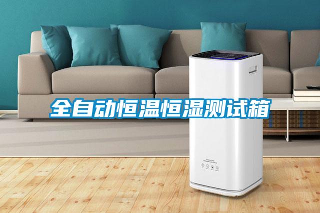 全自動(dòng)恒溫恒濕測(cè)試箱