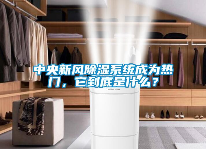 中央新風除濕系統成為熱門，它到底是什么？