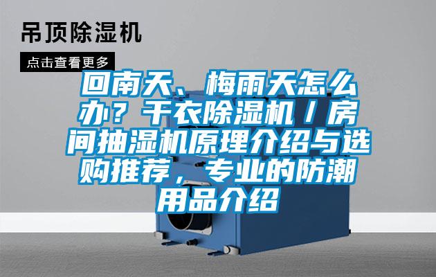 回南天、梅雨天怎么辦？干衣除濕機(jī)／房間抽濕機(jī)原理介紹與選購(gòu)?fù)扑]，專(zhuān)業(yè)的防潮用品介紹