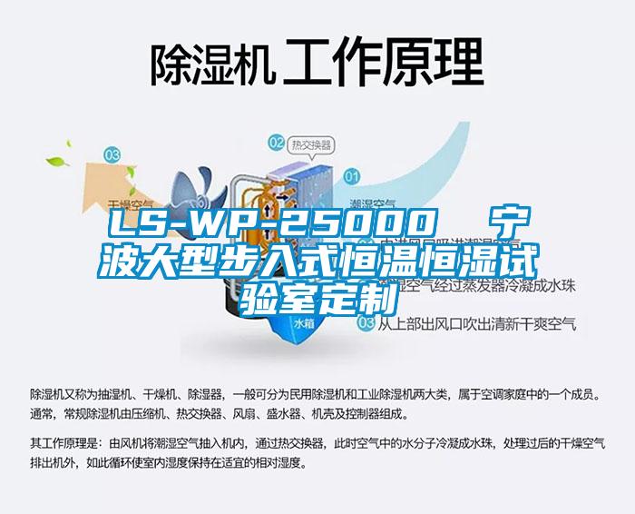 LS-WP-25000 寧波大型步入式恒溫恒濕試驗(yàn)室定制