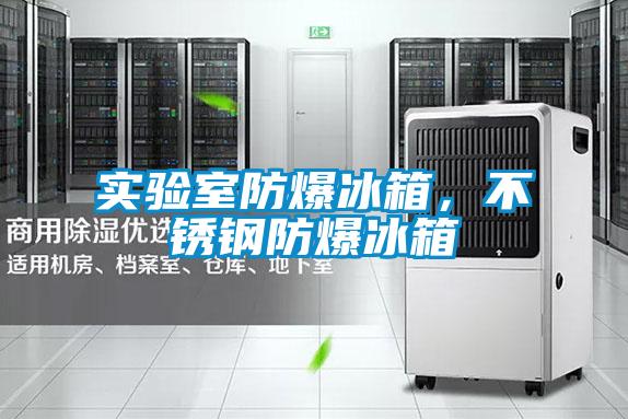 實(shí)驗(yàn)室防爆冰箱，不銹鋼防爆冰箱