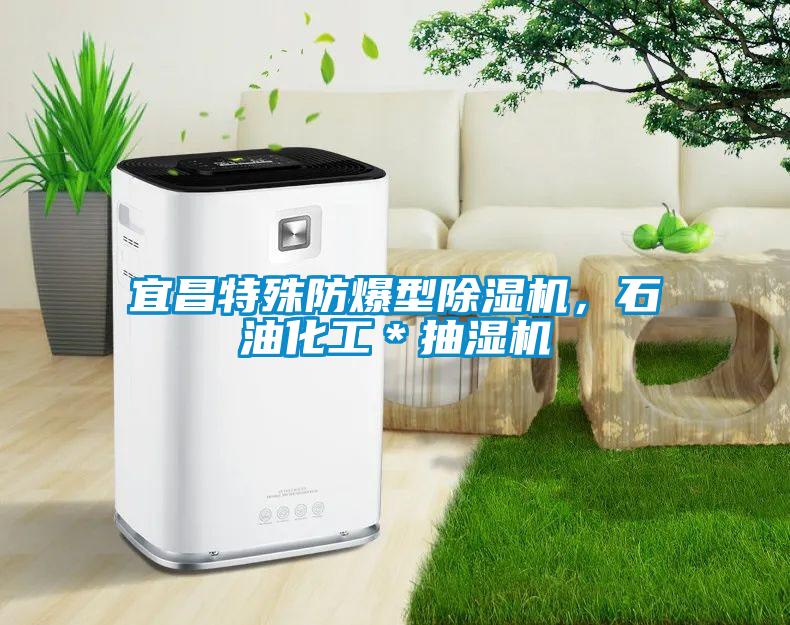 宜昌特殊防爆型除濕機(jī)，石油化工＊抽濕機(jī)