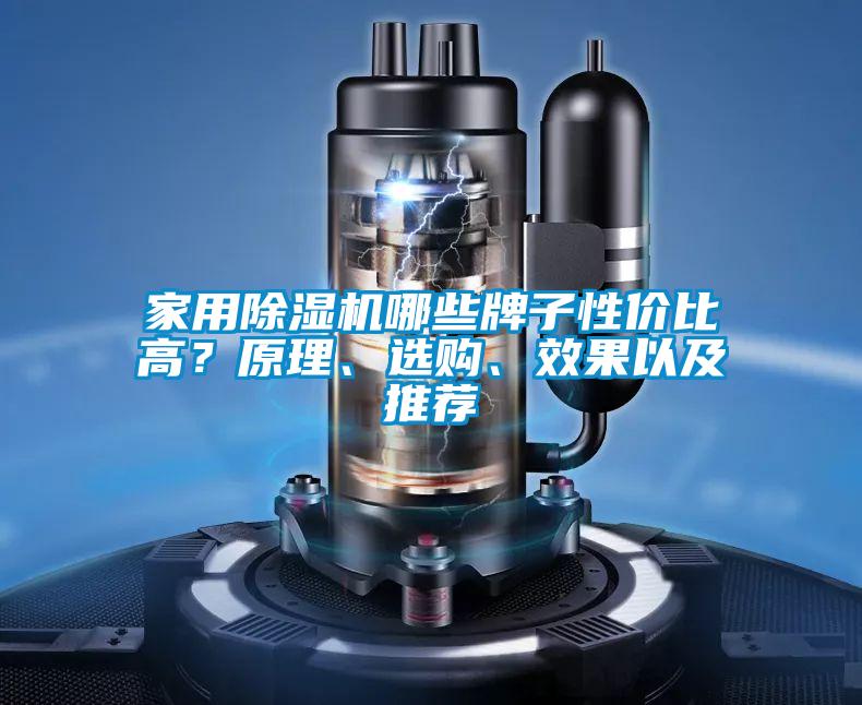 家用除濕機哪些牌子性價比高?原理、選購、效果以及推薦
