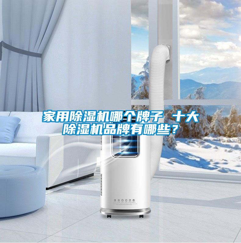 家用除濕機哪個牌子 十大除濕機品牌有哪些？