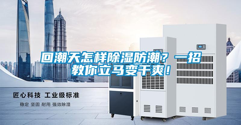 回潮天怎樣除濕防潮？一招教你立馬變干爽！