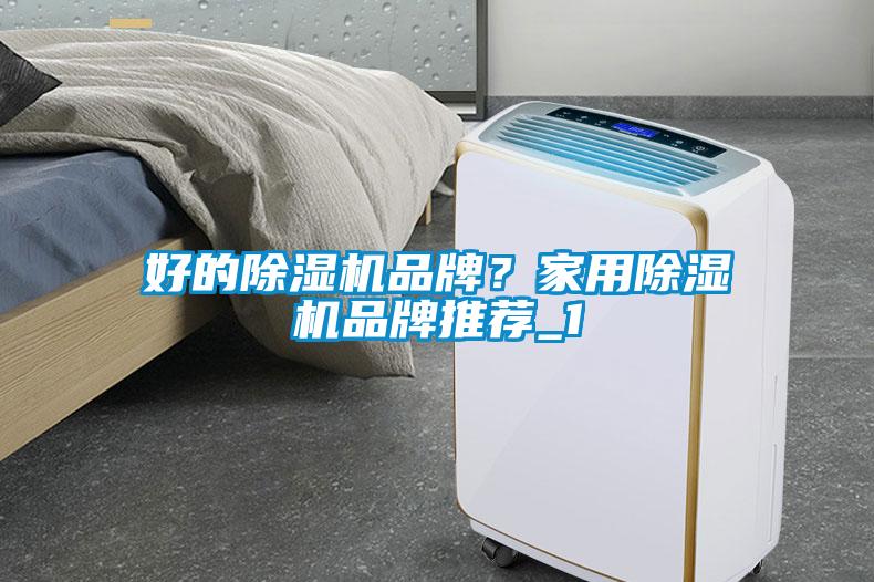 好的除濕機(jī)品牌？家用除濕機(jī)品牌推薦_1