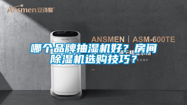 哪個品牌抽濕機好？房間除濕機選購技巧？