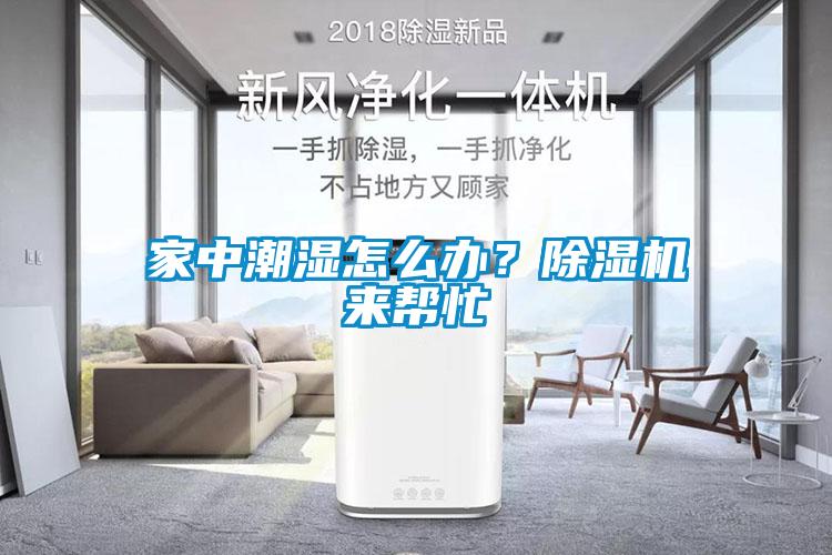 家中潮濕怎么辦？除濕機來幫忙