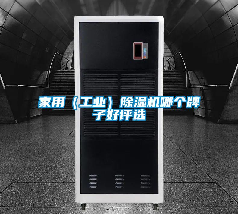 家用(工業)除濕機哪個牌子好評選