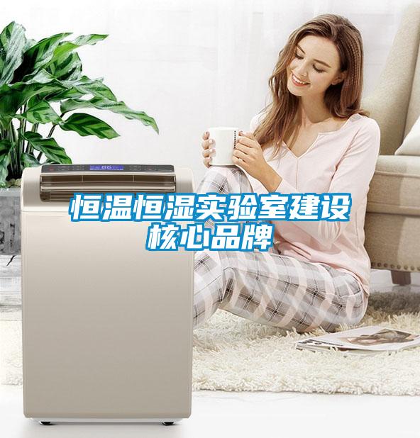 恒溫恒濕實驗室建設(shè)核心品牌
