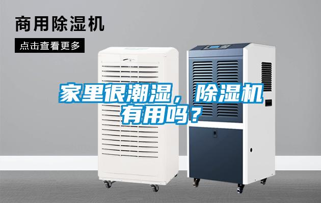 家里很潮濕，除濕機有用嗎？