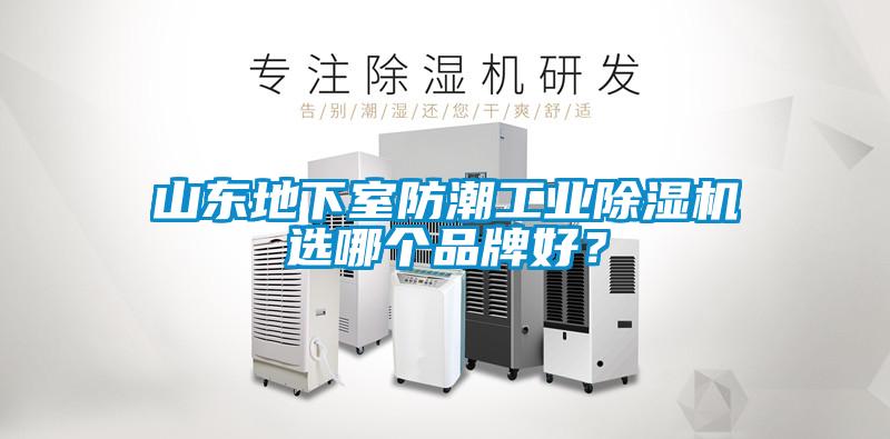 山東地下室防潮工業(yè)除濕機選哪個品牌好？