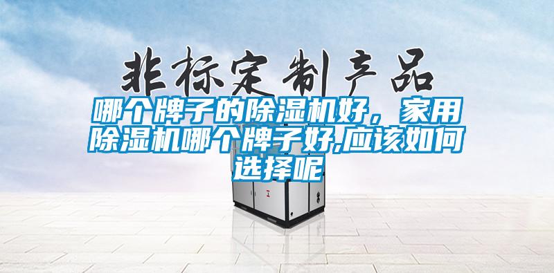 哪個牌子的除濕機好，家用除濕機哪個牌子好,應(yīng)該如何選擇呢