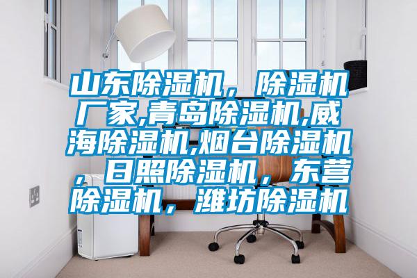山東除濕機，除濕機廠家,青島除濕機,威海除濕機,煙臺除濕機，日照除濕機，東營除濕機，濰坊除濕機