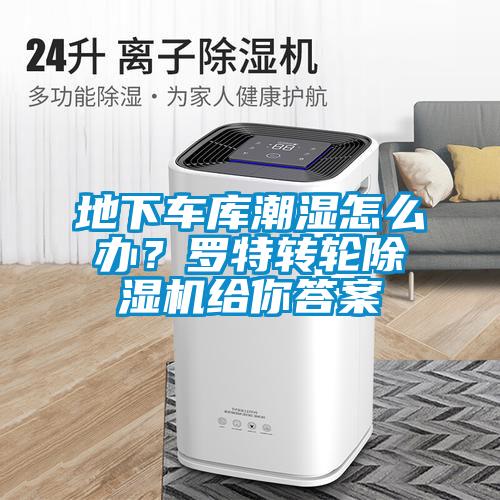 地下車庫潮濕怎么辦？羅特轉輪除濕機給你答案