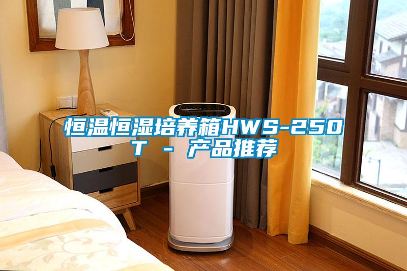 恒溫恒濕培養(yǎng)箱HWS-250T - 產品推薦