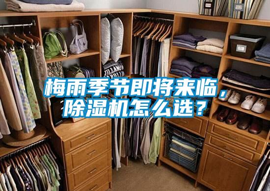 梅雨季節即將來臨，除濕機怎么選？