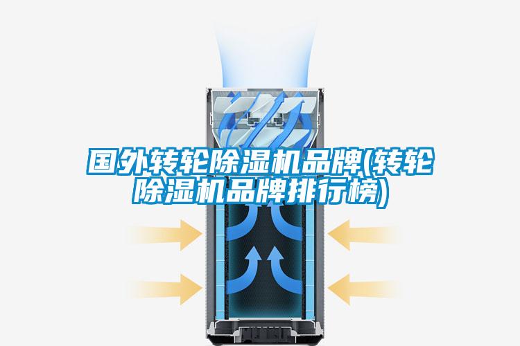 國外轉輪除濕機品牌(轉輪除濕機品牌排行榜)