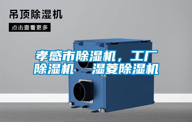 孝感市除濕機，工廠除濕機  濕菱除濕機