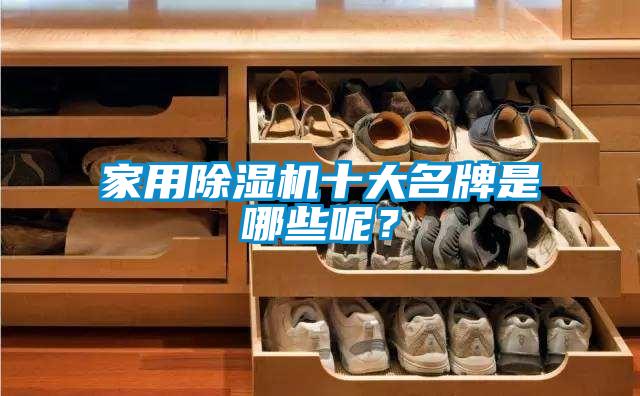 家用除濕機十大名牌是哪些呢？