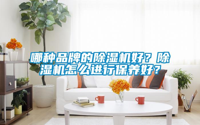哪種品牌的除濕機好？除濕機怎么進行保養好？