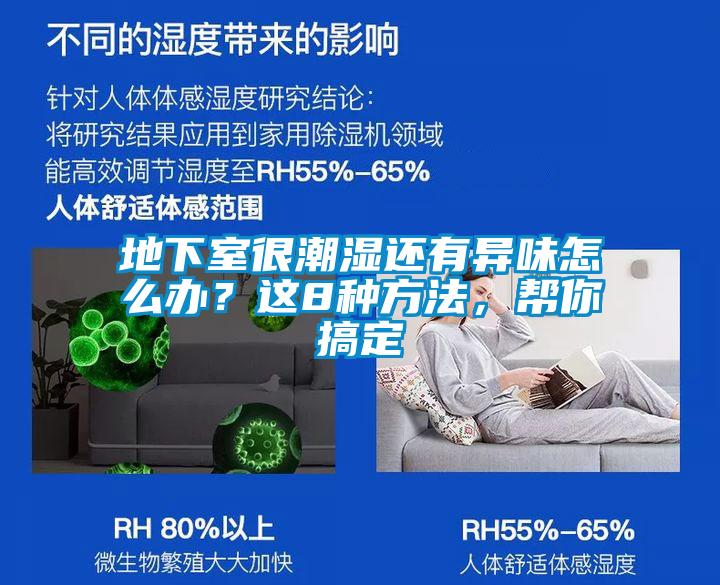 地下室很潮濕還有異味怎么辦？這8種方法，幫你搞定