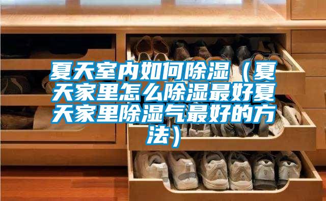 夏天室內如何除濕(夏天家里怎么除濕最好夏天家里除濕氣最好的方法)