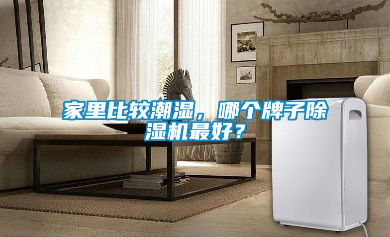 家里比較潮濕，哪個(gè)牌子除濕機(jī)最好？