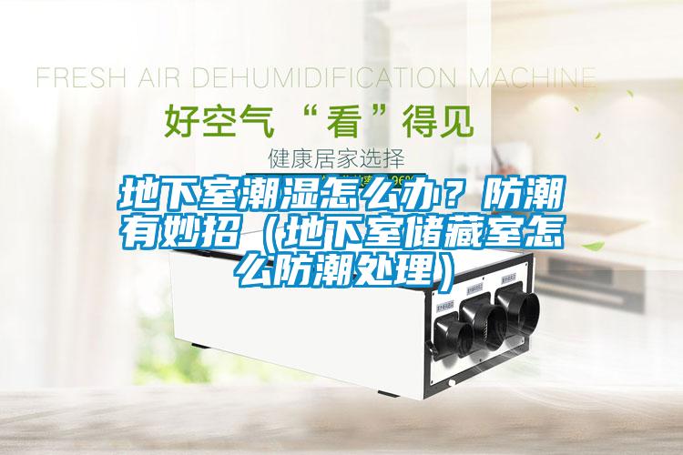 地下室潮濕怎么辦？防潮有妙招（地下室儲(chǔ)藏室怎么防潮處理）
