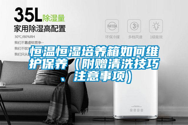 恒溫恒濕培養箱如何維護保養（附贈清洗技巧、注意事項）