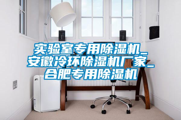 實驗室專用除濕機(jī)_安徽冷環(huán)除濕機(jī)廠家_合肥專用除濕機(jī)