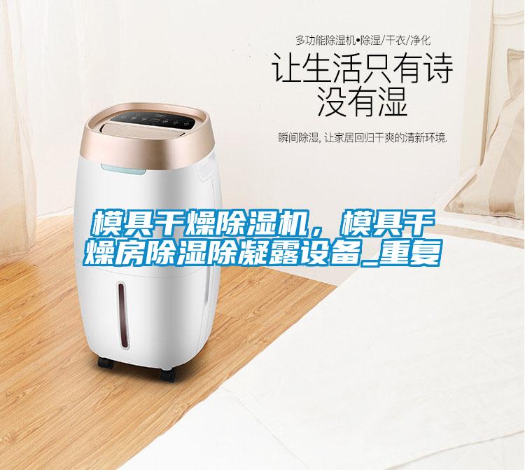 模具干燥除濕機，模具干燥房除濕除凝露設備_重復