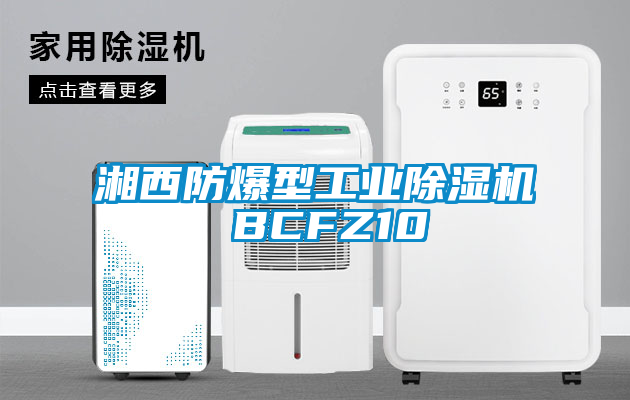 湘西防爆型工業除濕機 BCFZ10