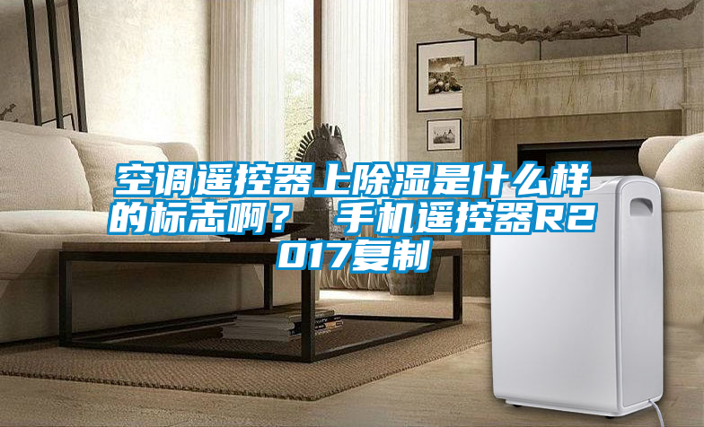空調遙控器上除濕是什么樣的標志啊？ 手機遙控器R2017復制