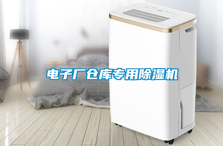 電子廠倉(cāng)庫(kù)專(zhuān)用除濕機(jī)