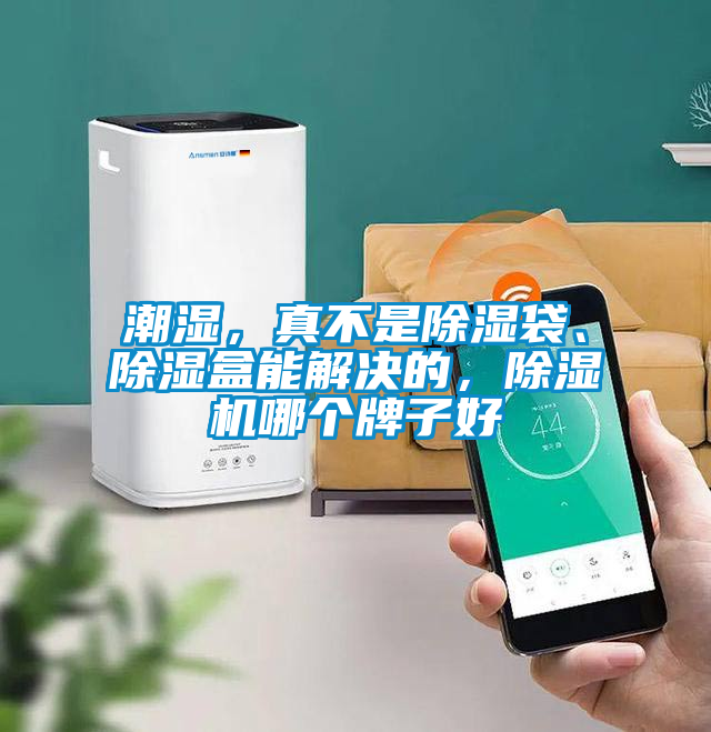 潮濕，真不是除濕袋、除濕盒能解決的，除濕機哪個牌子好