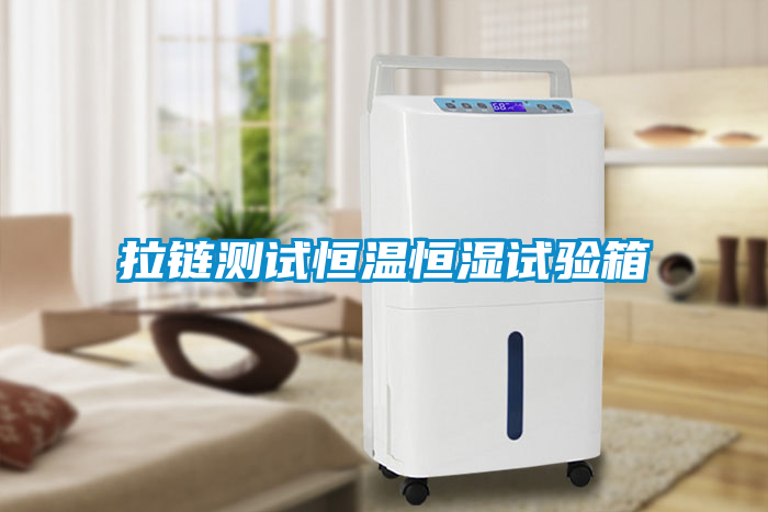 拉鏈測試恒溫恒濕試驗(yàn)箱