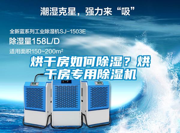 烘干房如何除濕？烘干房專用除濕機