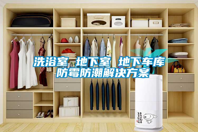 洗浴室 地下室 地下車(chē)庫(kù) 防霉防潮解決方案